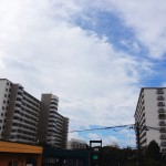 台風一過の新松戸